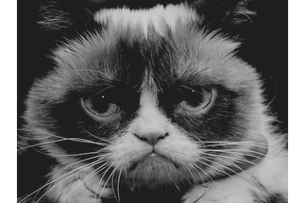 grumpy_cat_grayscale_2.png grumpy_cat_grayscale_2.png