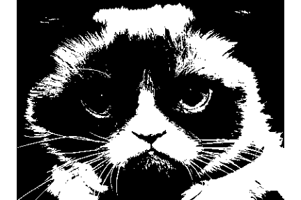 grumpy_cat_black_n_white.png grumpy_cat_black_n_white.png