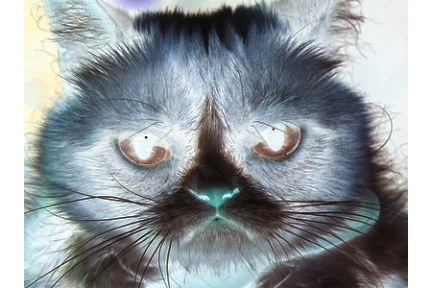 grumpy_cat_invert.png grumpy_cat_invert.png
