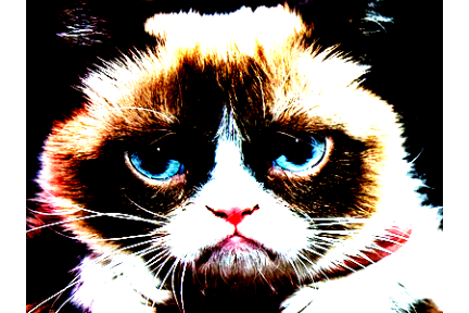 grumpy_cat_contrast_high.png grumpy_cat_contrast_high.png