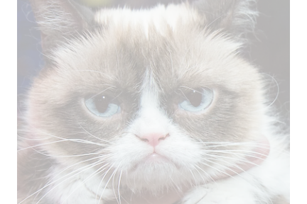 grumpy_cat_bright.png grumpy_cat_bright.png