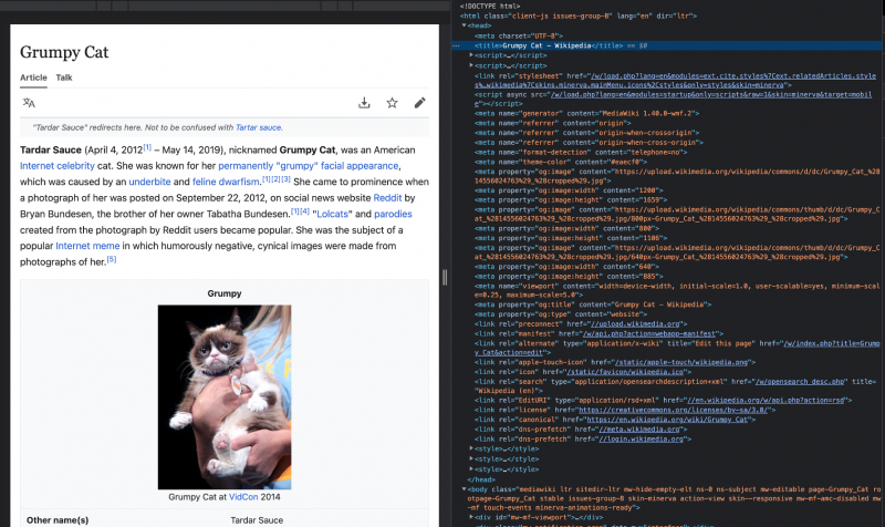 grumpy_cat_html.png grumpy_cat_html.png