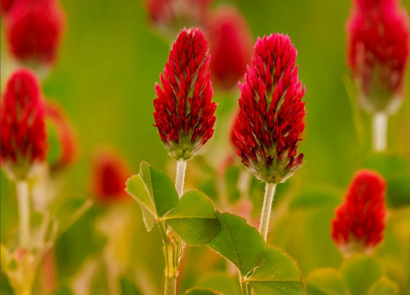 20250508-195423.png 20250508-195423.png